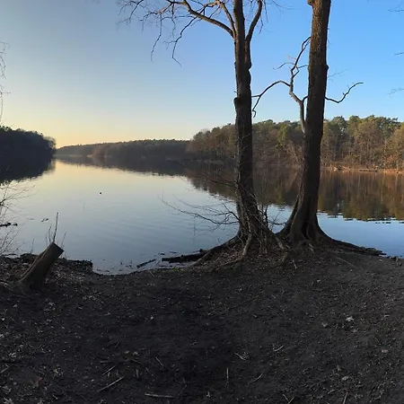 House אכסניה *