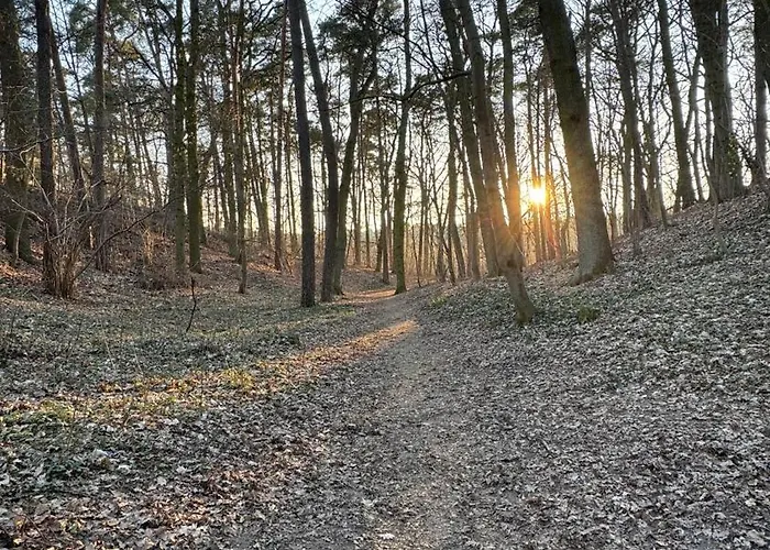 ホステル House シュチェチン